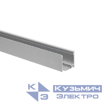 Профиль накладной для гибкого неона PFN-01 PAL 0816 L1000 анодир. JazzWay 5061217