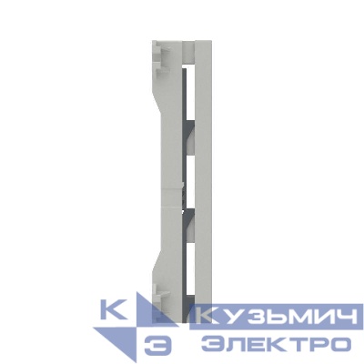 Держатель шин 30 40 50 60х10 3пол. 100мм DKC R5BBH100103P