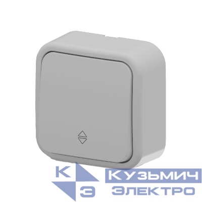 Выключатель проходной 1-кл. ARIA IP20 сер. ARVIA 25 22 1000 209