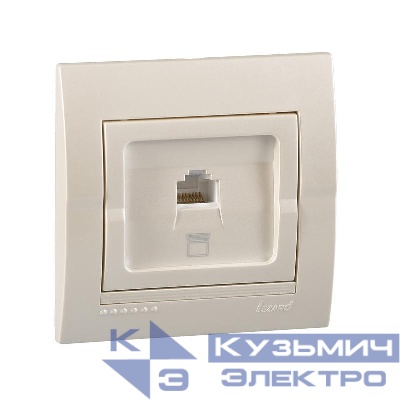 Розетка компьютерная СП Deriy RJ45 жемчуж./бел. метал. LEZARD 702-3030-139