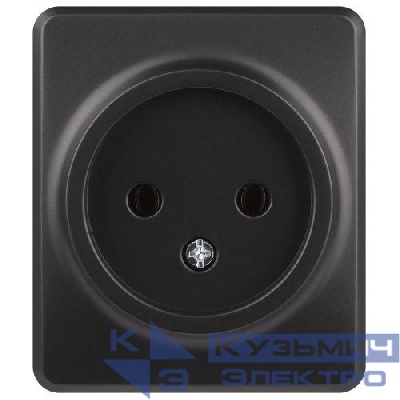 Розетка 1-м ОП Эксперт 11-2201-05 16А IP20 250В 2P антрацит Эра Б0062992