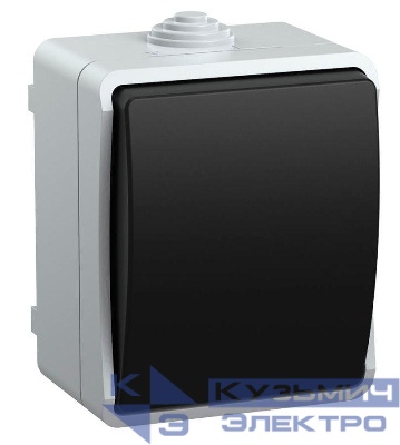 Выключатель проходной 1-кл. ОП Форс 10А IP54 ВС20-1-0-ФСр 250В сер. IEK EVS10-K03-10-54-DC