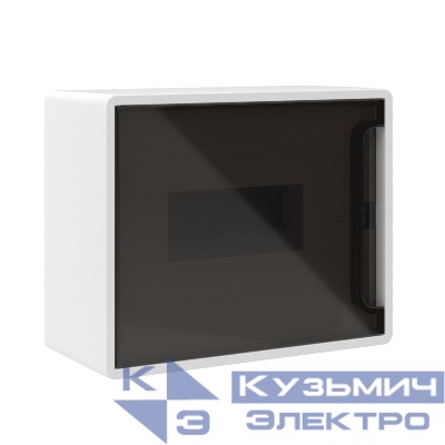 Щиток настенный Фрейм (FRAME) ЩРн-п-8 8 мод. с тонированной дверцей с 2 шинами PEN на 6 и 8 отверст. бел. DKC F08W1WD