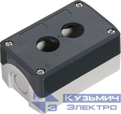 Пост кнопочный 2 отверстия сер. SE SALD02