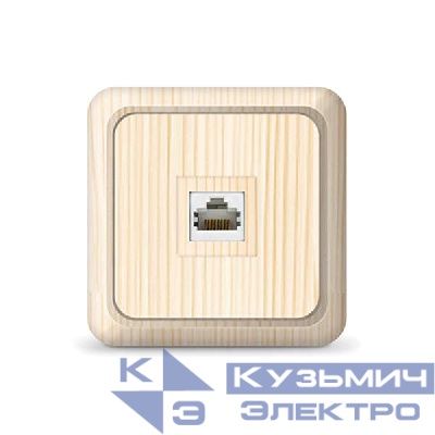 Розетка компьютерная 1-м Олимп сосна UNIVersal 1078