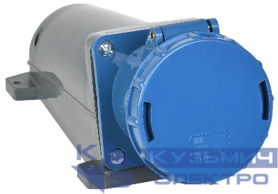 Розетка ОП 63А 220В 2P+PE ССИ-133 IP54 IEK PSR11-063-3