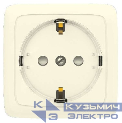 Розетка 1-м ОП Альфа 16А IP20 250В с заземл. защ. шторки с изолир. пластиной (стакан) сл. кость HEGEL РА16-174-01