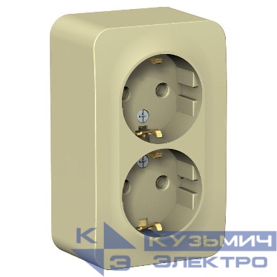 Розетка 2-м ОП Blanca 16А IP20 250В с заземл. без защ. шторок с изолир. пластиной беж. SE BLNRA010217