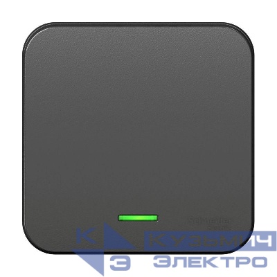 Выключатель 1-кл. ОП Blanca 10А IP20 (сх. 1) 250В с подсветкой с изолир. пластиной антрацит SE BLNVA101116