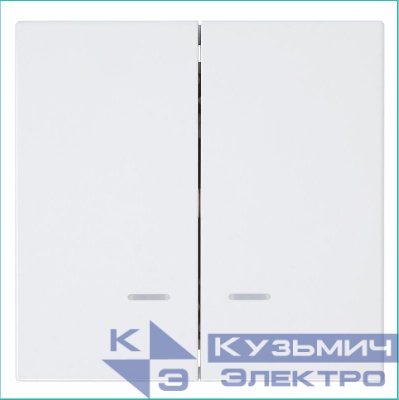 Выключатель 2-кл. СП FD 10А IP20 с подсветкой с накладкой механизм бел. глянцевый Jasmart FD3023NW