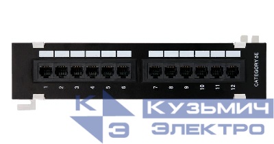Панель коммутационная настенная кат.5E (класс D) неэкранир. 12 портов 100МГц RJ45 (8P8C) 110 T568A/B черн. NETLAN EC-UWP-12-UD2