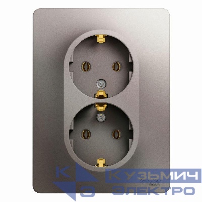 Розетка 2-м СП Glossa 16А IP20 250В с заземл. в сборе платина SE GSL001224