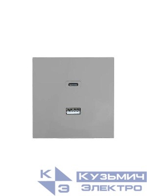 Розетка Type-C+ USB разъем СП ZIMA IP20 сер. матов. LEZARD 704-7488-192TC