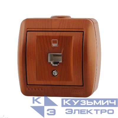 Розетка компьютерная 1-м ОП Nata RJ45 сосна LEZARD 710-0800-139