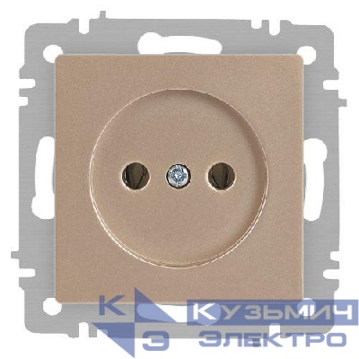 Розетка 1-м СП Accent 6-201-04 16А IP20 250В 2P шампань Intro Б0063663