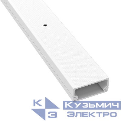 Кабель-канал 22х10 L2000 пластик TMC розн. (уп.16м) DKC 00317R