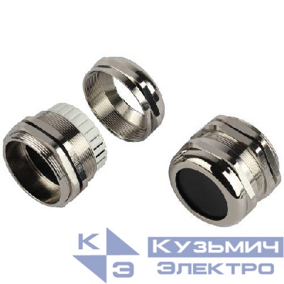 Ввод кабельный (сальник) PGM 48 d37-44мм (d отверст. 60мм) IP68 латунный (уп.2шт) Эра Б0065214