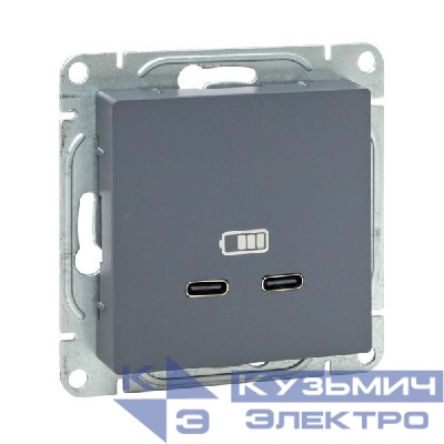 Розетка 2-м СП Эпика USB-C механизм графит EKF UP1-SOG-2USBC