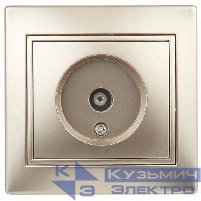 Розетка телевизионная одиночная TV СП Plano 1-301-04 IP20 шампань Intro Б0030079