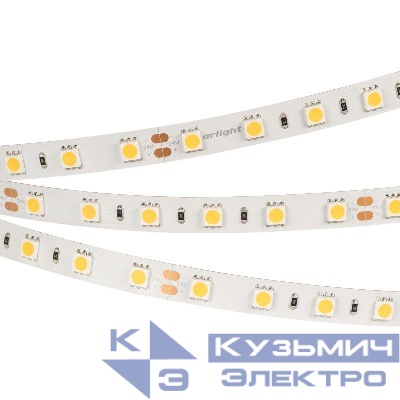 Лента светодиодная RT-B60-10mm 24V Cool 8000К 14.4Вт/м IP20 5060 (уп.5м) Arlight 013757(2)
