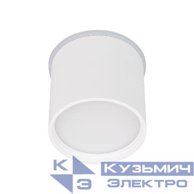 Светильник SP-CYLINDO-R75-7W Warm3000 (WH 110 deg 230В) IP54 металл Arlight 043955