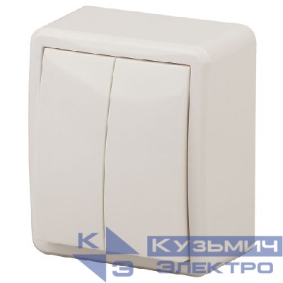 Выключатель 2-кл. ОП Эра Эксперт 10А IP20 11-1204-02 250В 10AX сл. кость Эра Б0020664