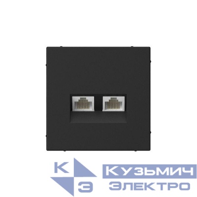 Розетка компьютерная 2-м ArtGallery RJ45 + RJ45 кат.5E механизм карбон SE GAL001085
