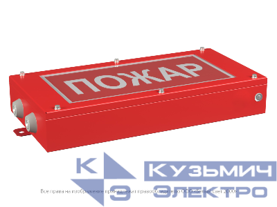 Указатель световой BS-CANRON-10-S1-ELON централиз. электропитания Белый свет a17015