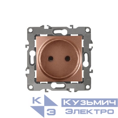 Розетка 1-м СП Эра12 12-2105-14 16А IP20 16AX 250В 2P механизм медь Эра Б0019337