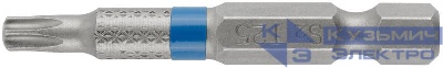 Бита стальная Profi TORX T25 50мм (уп.2шт) Cutop 83-661