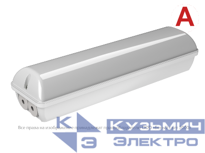 Светильник аварийный BS-METEOR-53-L1-INEXI2 автономный Белый свет a15945