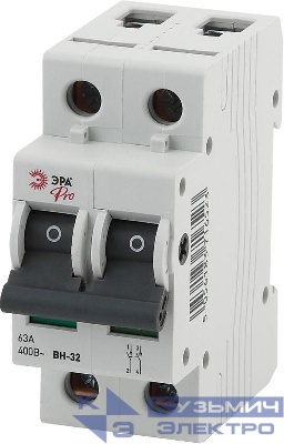 Выключатель нагрузки 2п 63А ВН-32 Pro NO-902-88 ЭРА Б0031716