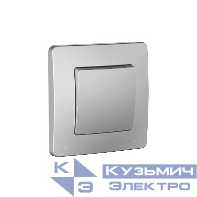 Переключатель 1-кл. СП Blanca 10А IP44 (сх.6) 250В алюм. SE BLNVS410603