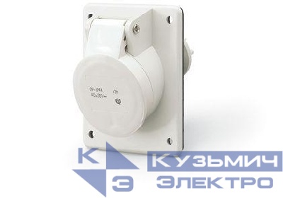 Розетка панельная 2п 40-50В 16А 40-50В/50-60Гц IP44 DKC DIS4301616