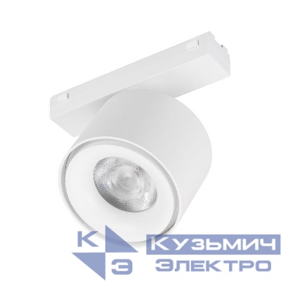 Светильник светодиодный MAG-VIBE-POINT-R75-10W Warm3000 (WH 24 deg 48В) IP20 металл Arlight 044466