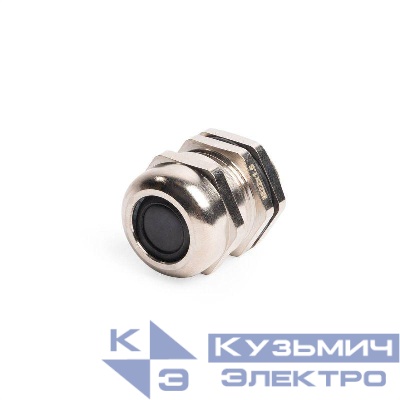 Ввод кабельный латунный MGM 22 (10-14мм) (уп.10шт) Fortisflex 87979