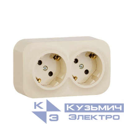 Розетка 2-м ОП Quteo 16А IP20 250В 2х2P+E с заземл. защ. шторки сл. кость IEK 782267