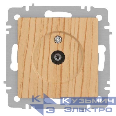 Розетка телевизионная одиночная TV СП Accent 6-301-11 IP20 сосна Intro Б0063622