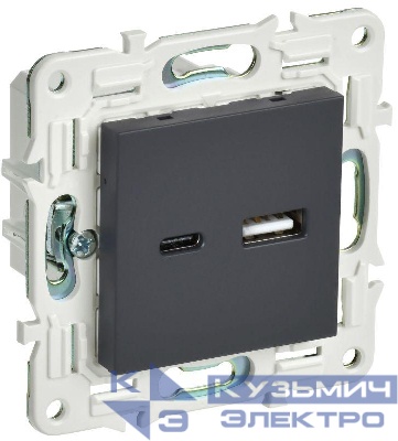 Розетка USB A+C 3.1А SKANDY SK-R14G графит IEK SK-U22-D31-K53