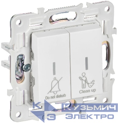 Выключатель 2-кл. SKANDY 10А SK-V16W для отелей с индикацией арктич. бел. IEK SK-V20-2-10-K01