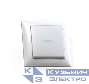 Выключатель 1-кл. СП Селена 10А IP20 С110-395 с индикацией бел. Кунцево 8102