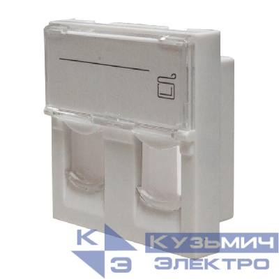 Панель лицевая 2 порта 45х45 Keystone шторки откидное маркировочное окно SUPRLAN 10-0302
