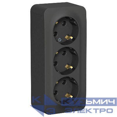 Розетка 3-м ОП Blanca 16А IP20 250В с заземл. без защ. шторок с изолир. пластиной антрацит SE BLNRA010316