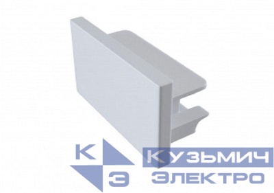 Заглушка TR-1PA-EC-WH торцевая для 1ф трекового шинопровода бел. Эра Б0054477