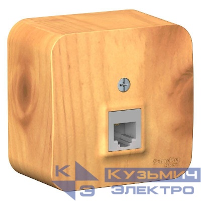 Розетка телефонная 1-м ОП Blanca RJ11 с изолир. пластиной ясень SE BLNIA011005