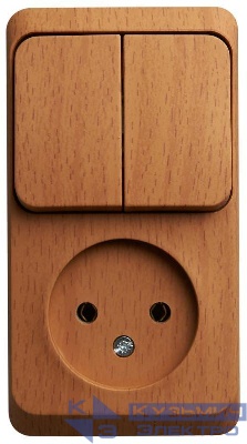 Блок ОП Этюд (1-м розетка без заземл. + 2-кл. выкл.) бук SE BPA16-205T