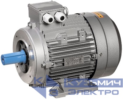 Электродвигатель АИС 3ф 112M4 380В 4кВт 1500об/мин 2181 ONI ONS112-M4-004-0-1521