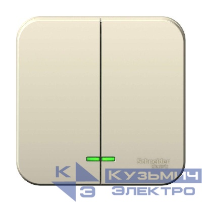 Выключатель 2-кл. ОП Blanca 6А IP20 (сх. 5) 250В с подсветкой с изолир. пластиной молочн. SE BLNVA065112