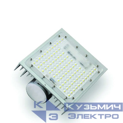 Светильник светодиодный ДКУ01-50-002 Light Street 50Вт IP65 5750лм У1 Ксенон 0101050223-01