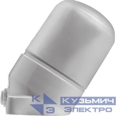 Светильник НББ 02-60-002 для бани керамика/стекло наклонный IP54 E27 max 60Вт 150х90х85 бел. Эра Б0064018